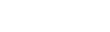 Big Brain Holdings